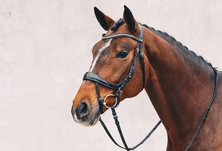 Equitus Beta Patent Leather Anatomical Snaffle Bridle